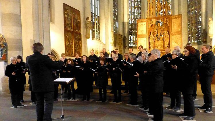 Peter Rottmann mit seinem "Ensemble Vokal" beim Chor- und Orgelkonzert in der Stadtpfarrkirche S. Maria Magdalena. Foto: Gerhild Ahnert