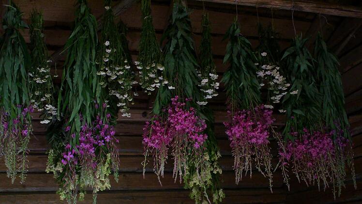 Blumen zum Trocknen aufhängen
