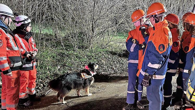 Mit Hilfe einer Rettungshundestaffel wurden Vermisste in einem Wald gesucht.