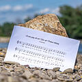 Online-Petition gegen das Donaulied erfolgreich