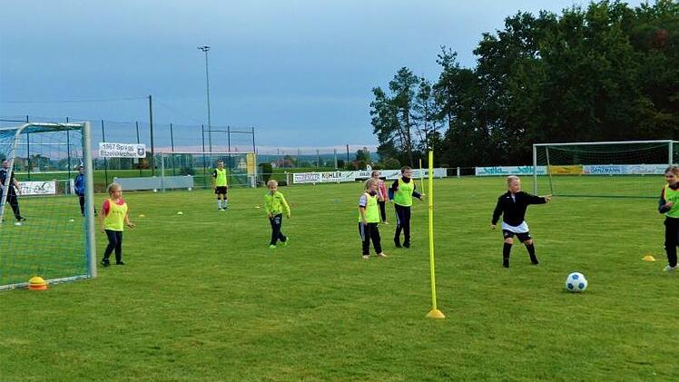 Das Runde muss ins Eckige. Die "Etzel-Tigers" beim Training.  Fotos: Britta Schnake