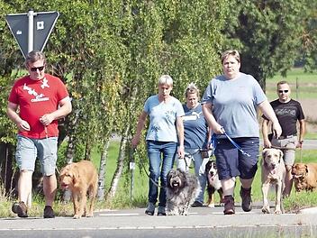 Gut sozialisierte Hunde, wie sie sich die Gesellschaft wünscht, sind das Ziel der Ausbildung beim VfG Neustadt. Im Lockdown geht seit Wochen nichts mehr. Foto: CT-Archiv/Georg Weber