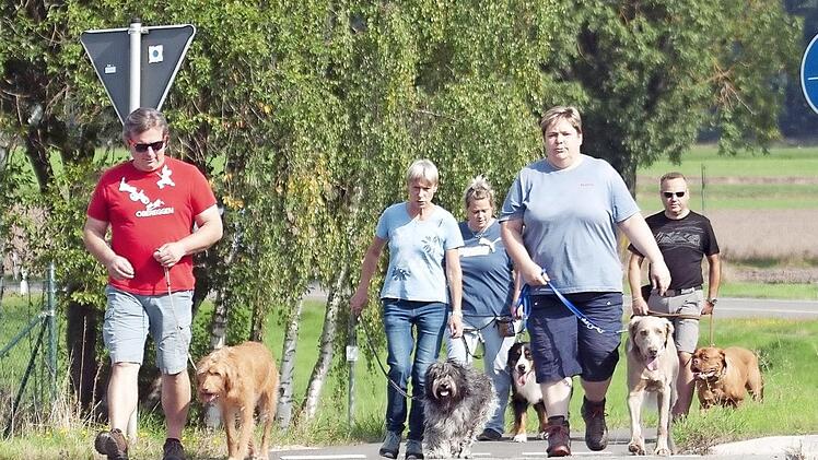 Gut sozialisierte Hunde, wie sie sich die Gesellschaft wünscht, sind das Ziel der Ausbildung beim VfG Neustadt. Im Lockdown geht seit Wochen nichts mehr. Foto: CT-Archiv/Georg Weber