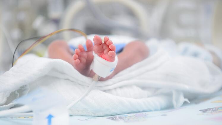 W&uuml;rzburg: Erste Studienergebnisse - So k&ouml;nnen Fr&uuml;hgeborene von Probiotika profitieren