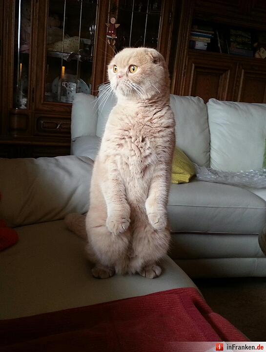 Foto: Natalie Tischer