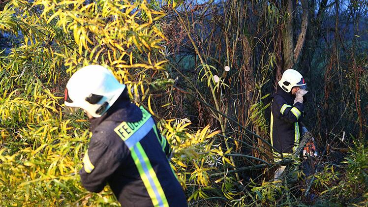 Foto: News5 / Herse
