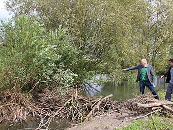 Bürgermeister Helmut Blank und Andreas Schlembach begutachten den Biberdamm, der binnen einer Woche  kurz hinter dem Ortsausgang in Richtung Großwenkheim entstanden ist.Heike Beudert