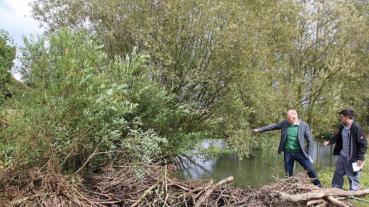 Bürgermeister Helmut Blank und Andreas Schlembach begutachten den Biberdamm, der binnen einer Woche  kurz hinter dem Ortsausgang in Richtung Großwenkheim entstanden ist.Heike Beudert