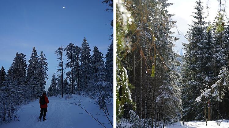 SplitImage 1764055312