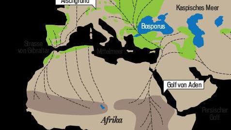 Die Zugrouten der Störche