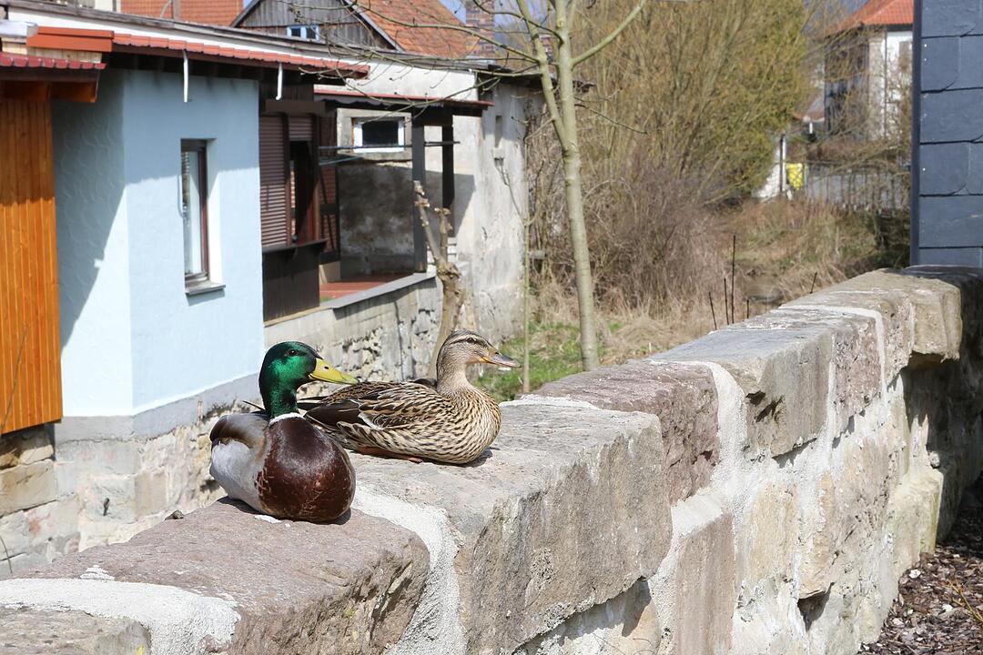 SoS Unterrodach im Lkr. KC; Foto: Barbara Herbst
