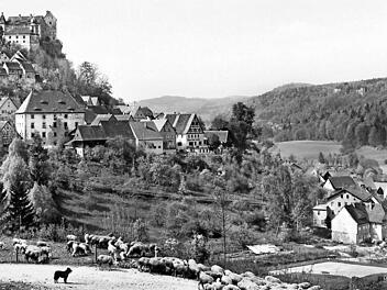 Das Bild von Egloffstein dominierte auch im Jahr 1967 schon die Burg.Foto: Reinhard Löwisch
