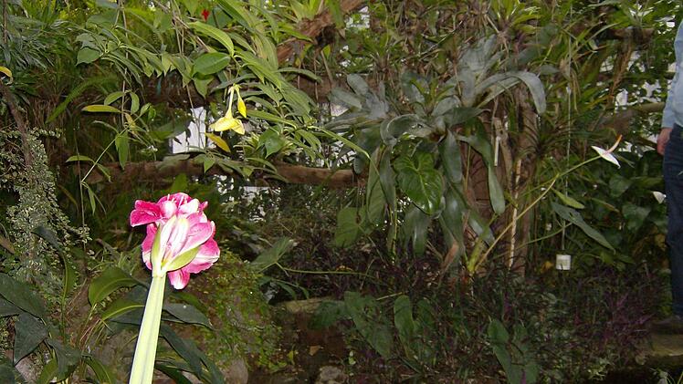 Foto: Petra Malbrich