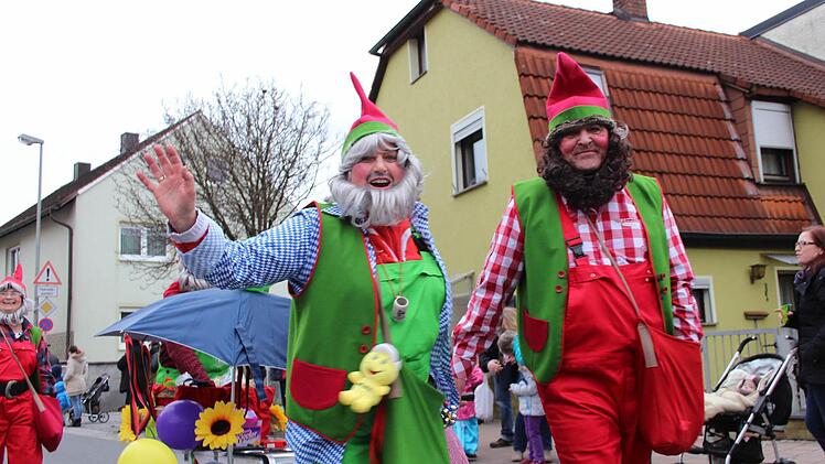 Der Faschingsumzug in Höchstadt war auch 2017 wieder sehr gut besucht. Foto: Christian Bauriedel