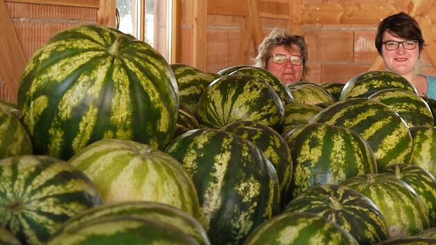 Christine Eller (im Bild mit Tochter Sabrina)  konnte sich bei der Ernte &uuml;ber zahlreiche Wassermelonen freuen. Foto: Rebecca Vogt