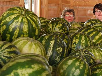 Christine Eller (im Bild mit Tochter Sabrina)  konnte sich bei der Ernte über zahlreiche Wassermelonen freuen. Foto: Rebecca Vogt