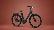 E-Bikes vom Discounter: