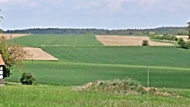 Links des "Panoramaweges" (Baumreihe am rechten Bildrand) soll der Solarpark entstehen. Das Foto entstand an der Verbindungsstraße Eyrichshof-Kurzewind. Links ist ein Anwesen in Kurzewind zu erkennen.  Foto: Helmut Will