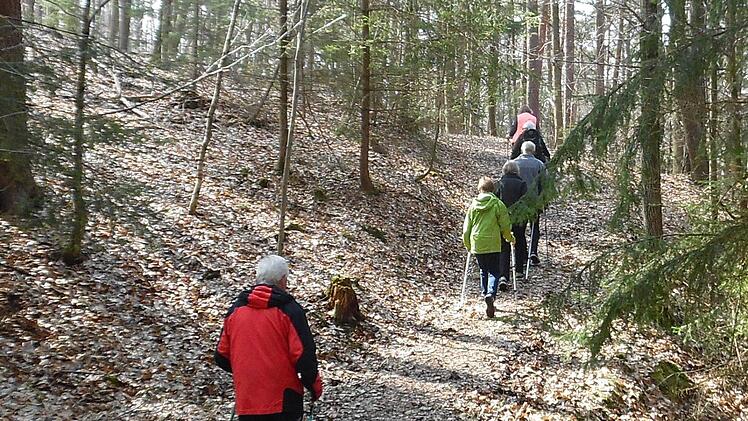 Die gelb markierte NW-Übungstour führt über gut befestigte Forstwege. Fotos: Günter Reinlein