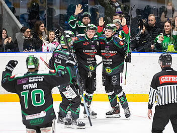 Alligators vs. Bayreuth: 13 Treffer, Netz kaputt!