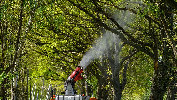 Bek&auml;mpfung von Raupen