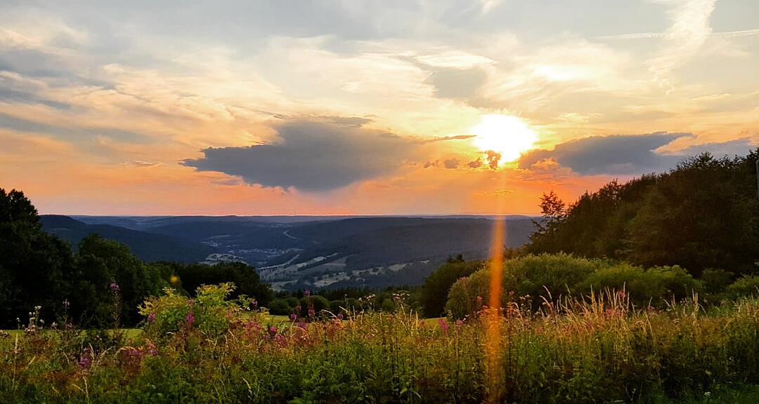 Die schönsten Sommerfotos aus Bad Kissingen und Umgebung