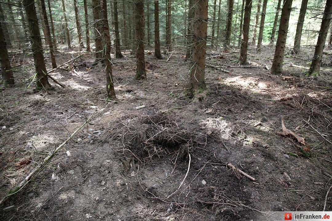 Fundort von Peggys Leiche