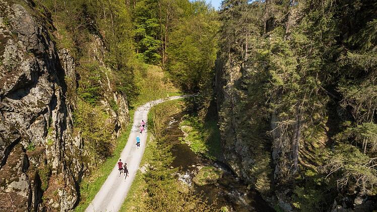 Der Frankenwald hat wildromantische Natur wie hier die Steinachklamm zu bieten. Politiker und Touristiker träumen nun vom Gütesiegel "Nationalpark". Foto: Alexander Muck