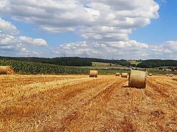 Die Ernte hinkt hinterher: Während hier bei Grub am Forst  die Ernte eingefahren ist, steht in höheren Lagen sogar noch vereinzelt Getreide. Da wird es Zeit für trockene Tage.
