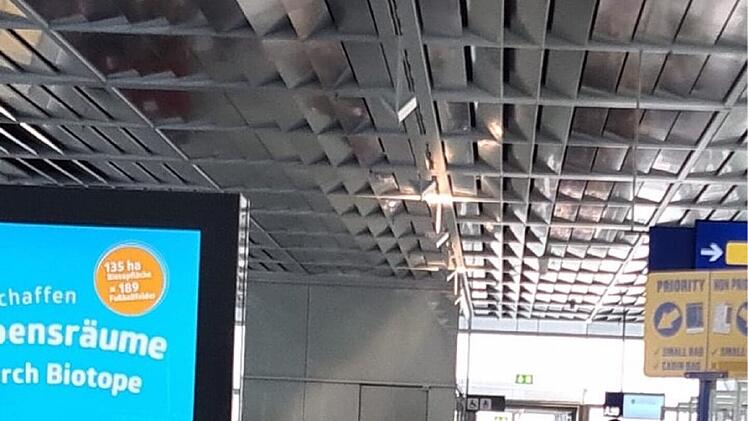 Flughafen Nürnberg: Flugzeug nach Mallorca bricht Startvorgang ab - Passagier erlebt "Horror-Trip"