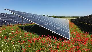 SÜDWERK - Das Motto ,,Sonne wird Strom" wurde schon erfolgreich umgesetzt SÜDWERK - Das Motto ,,Sonne wird Strom" wurde schon erfolgreich umgesetzt
