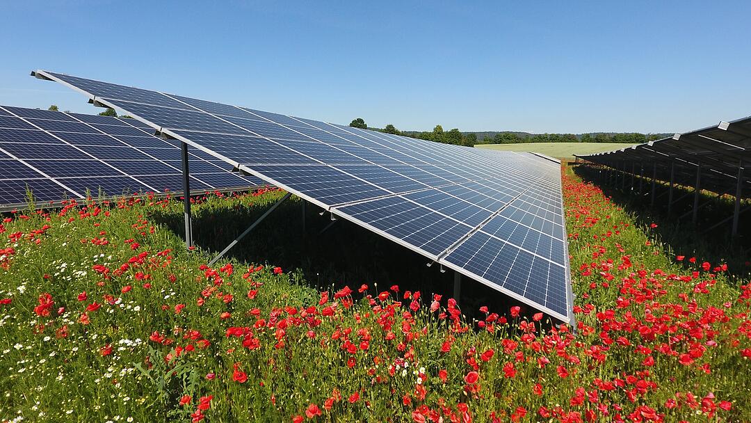 S&Uuml;DWERK - Das Motto ,,Sonne wird Strom" wurde schon erfolgreich umgesetzt