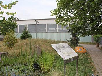 Die Turnhalle West am Dürerweg in Haßfurt: Hier kommen die ersten Flüchtlinge an, werden versorgt und untergebracht.  Fotos: Klaus Schmitt