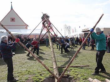 Gestärkt mit ein paar Maß Bier hievten die Kirchehrenbacher Heimatfreunde den Kerwasbaam in die Senkrechte. Dazu gab es Kerwasliedla.  Foto: ah