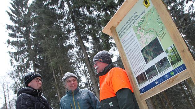 Sie möchten den Waldumbau in der Kernzone transparent machen: Tobias Gerlach vom Biosphärenreservat Rhön, Förster Joachim Urban und Wolfram Zeller, Leiter des Forstbetriebs Bad Brückenau der Bayerischen Staatsforsten. Foto: Ulrike Müller