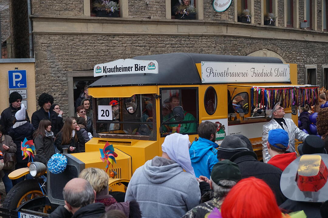Landkreisfaschingszug 2015