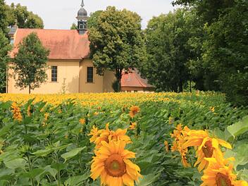 Die Talkirche ist in diesem Jahr Ziel der Pfarreiwallfahrt. Foto: Heike Beudert