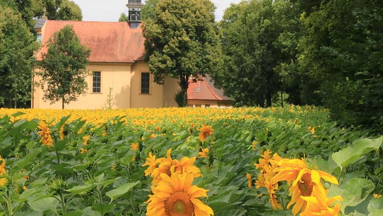 Die Talkirche ist in diesem Jahr Ziel der Pfarreiwallfahrt. Foto: Heike Beudert