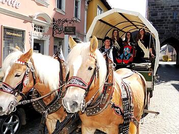 Die Kutsche mit den drei K&ouml;niginnen aus der Welt der Agrarerzeugnisse fuhr gestern von H&ouml;chstadt nach M&uuml;hlhausen. Fotos: Dieter Gropp