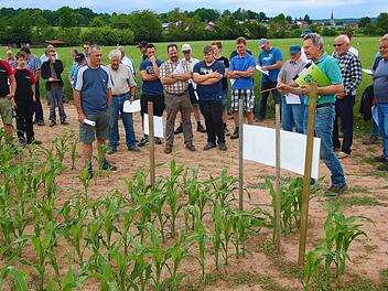 Landwirte informieren sich über den Maisanbau. Foto: Dieter Britz