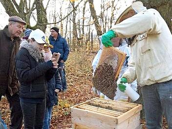 Am Zeidlerhaus gibt es immer was zu tun und vor allem bei Kindern stieß die Aktion zur Bekämpfung der Varroamilbe auf Interesse. Foto: R. Sänger