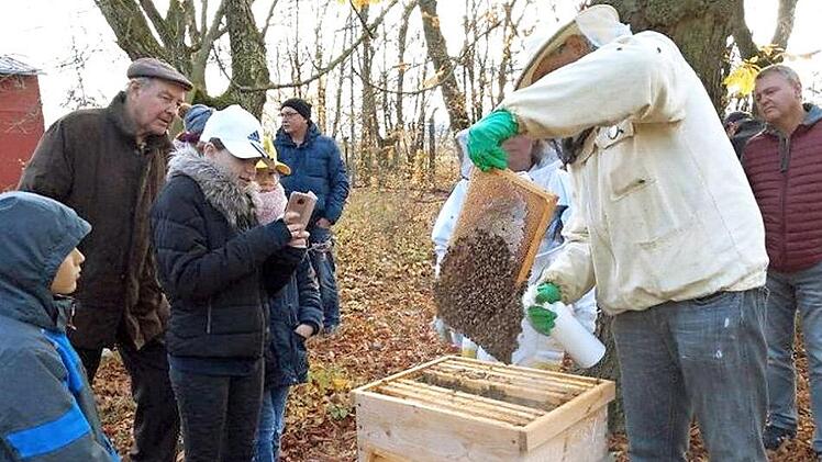 Am Zeidlerhaus gibt es immer was zu tun und vor allem bei Kindern stieß die Aktion zur Bekämpfung der Varroamilbe auf Interesse. Foto: R. Sänger