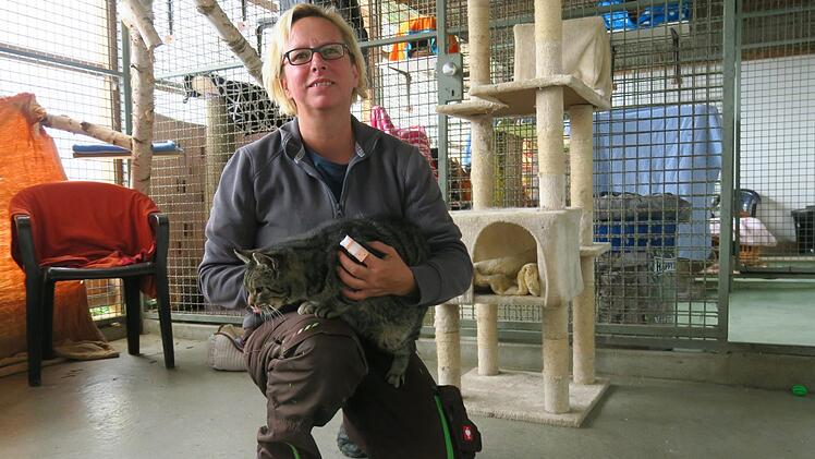 Die Leiterin des Tierheims Lichtenfels, Sandra Schunk, sorgt sich um das Wohl der Katzen. Foto: Bettina Dirauf