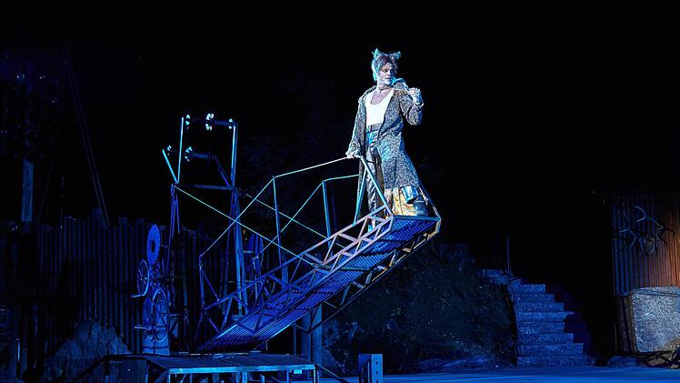 Fabian-Joubert Gallmeister als Rum Tum Tugger Foto: © Marcel Kohnen