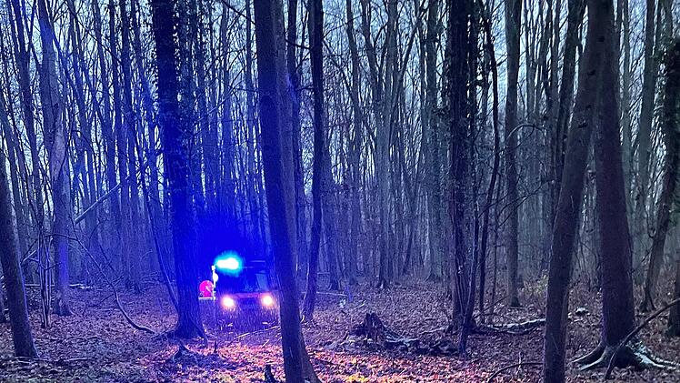 Forchheim: Brand in Wald