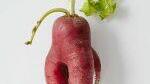 etepetete-rettich-150x150-1.jpg