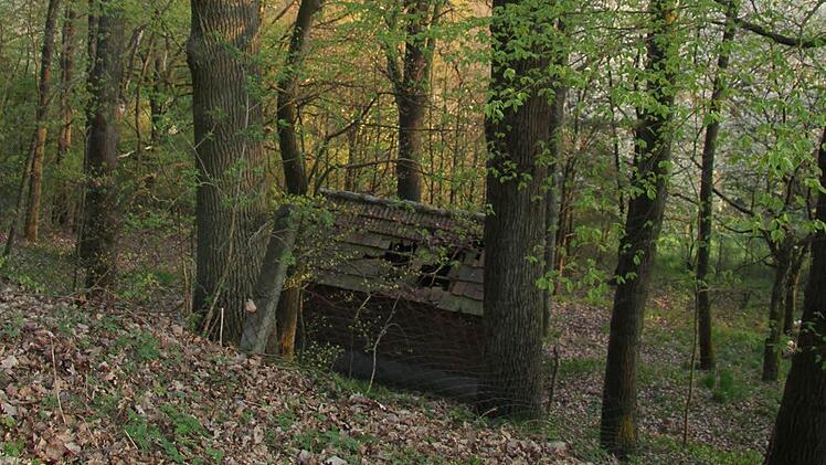 Die Hütte zwischen Reuthgasse und Rehbergheim wird oft von Jugendlichen aufgesucht