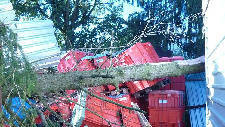So sah es bei der Untersteinacher Firma Stettler  nach dem Sturm aus.Foto: Firma Stettler