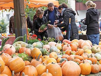 Auch wenn es in diesem Jahr an Obst mangelte, das Angebot an Kürbissen ließ keinen Wunsch offen.  Fotos: Gerda Völk