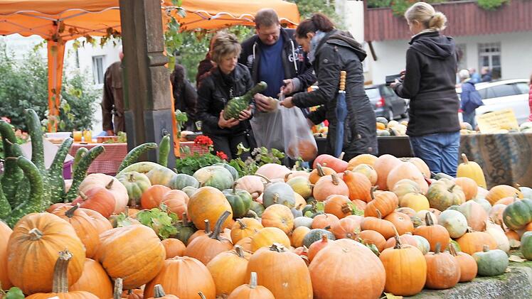 Auch wenn es in diesem Jahr an Obst mangelte, das Angebot an Kürbissen ließ keinen Wunsch offen.  Fotos: Gerda Völk
